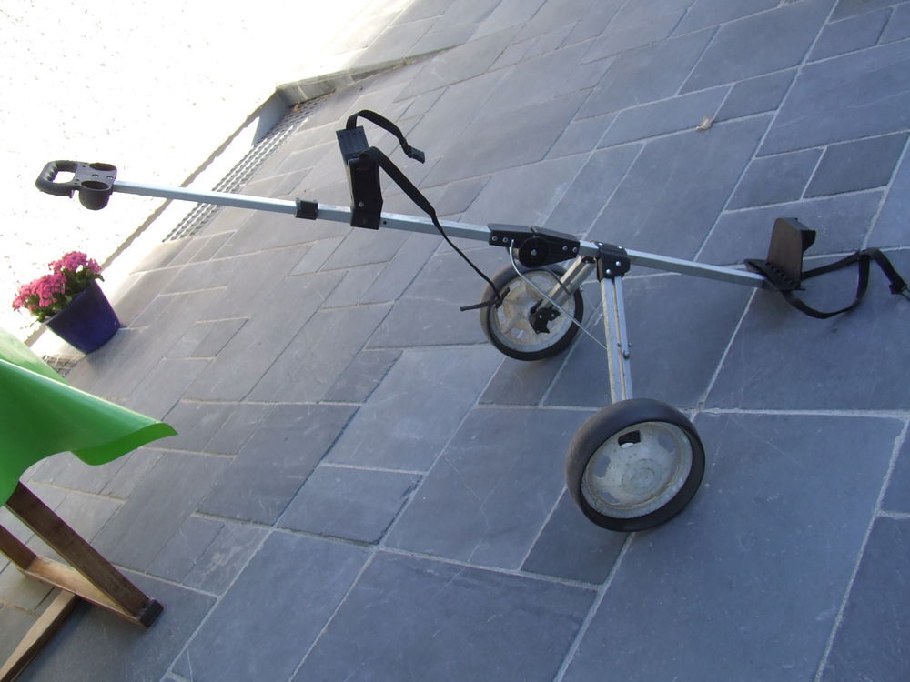 . chariot de golf Sports