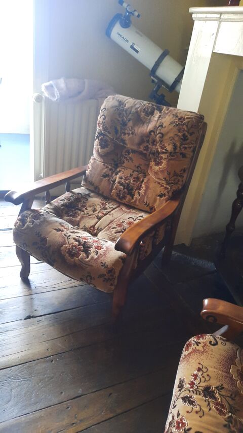 DMNAGEMENT CANAP CONVERTIBLE LIT ET SON FAUTEUIL 50 Beaulieu-sur-Dordogne (19)