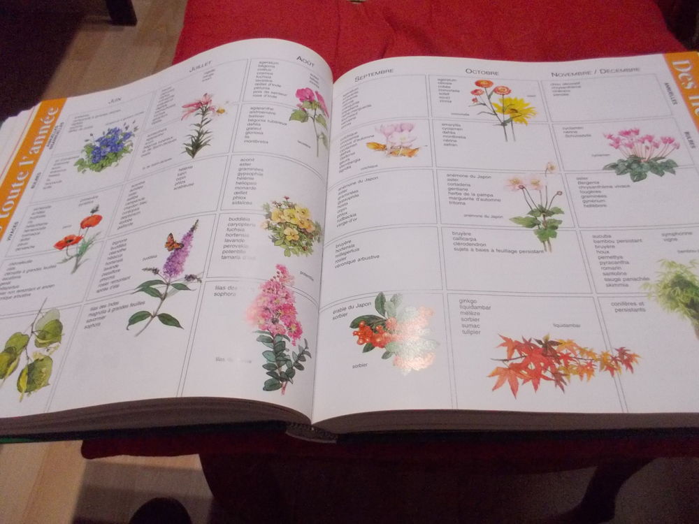 1001 astuces pour le jardin Jardin