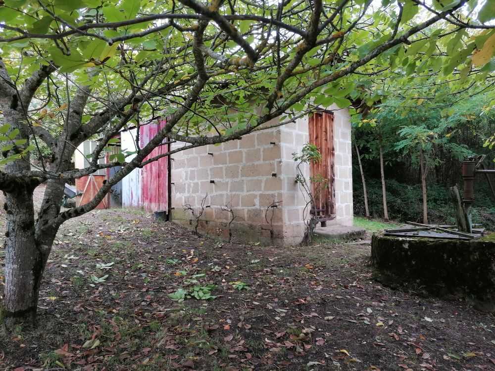 Vente Terrain Terrain de Loisir 1681 m² avec Mazet à la Côte St André La côte-saint-andré