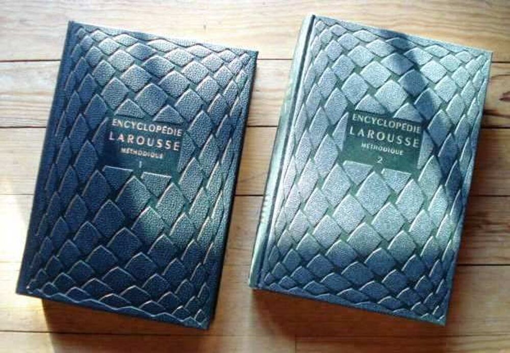 Encyclop&eacute;die Larousse m&eacute;thodique Livres et BD