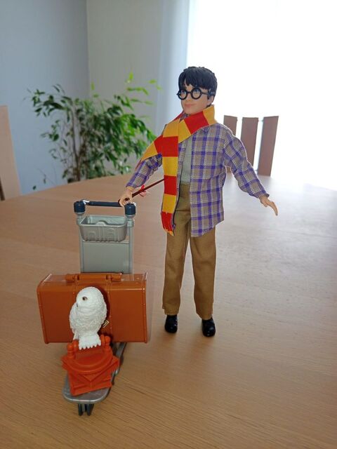 HARRY-POTTER 25 Anglet (64)