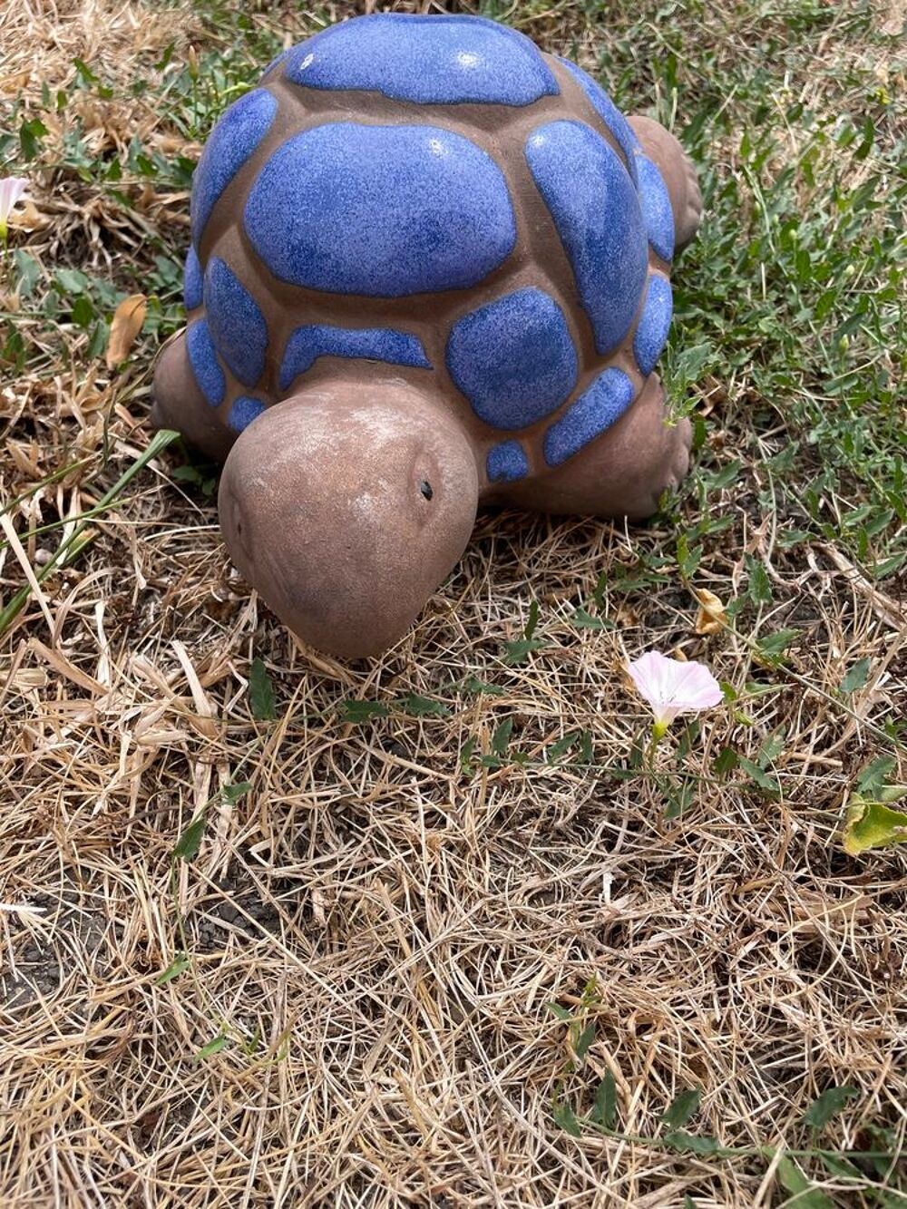 Petite tortue d&eacute;corative Décoration