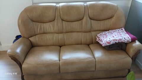 canape cuir center 450 Pau (64)