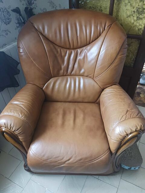 fauteuil marron 90 Y�vres (28)