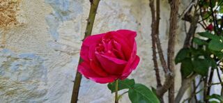  Maison � vendre 10 pi�ces 250 m�