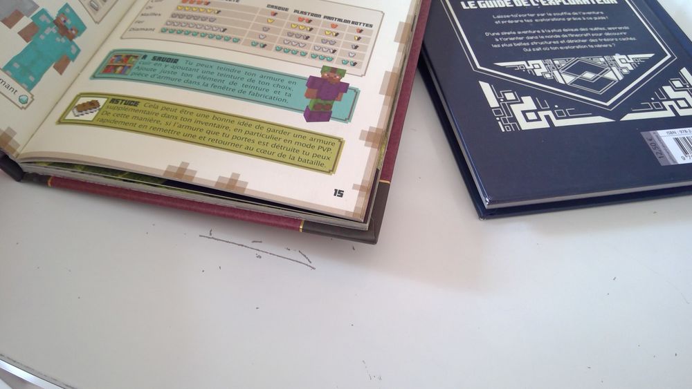 8€ Minecraft livres Livres et BD