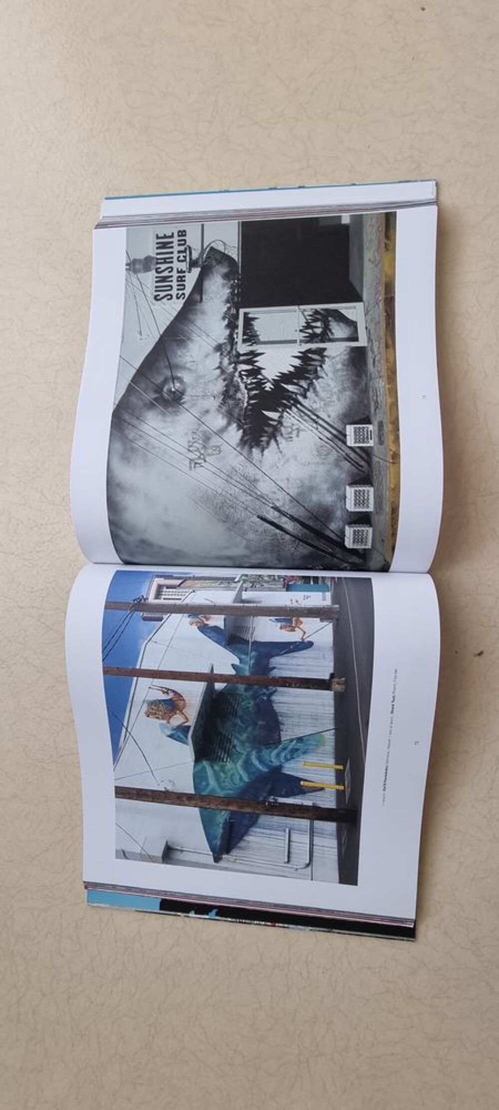 Tour du monde du street art Livres et BD