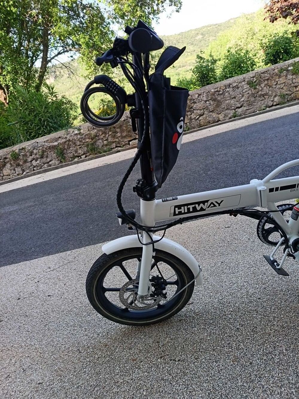 V&eacute;lo &eacute;lectrique mini avec remorque chien ou enfant Vélos