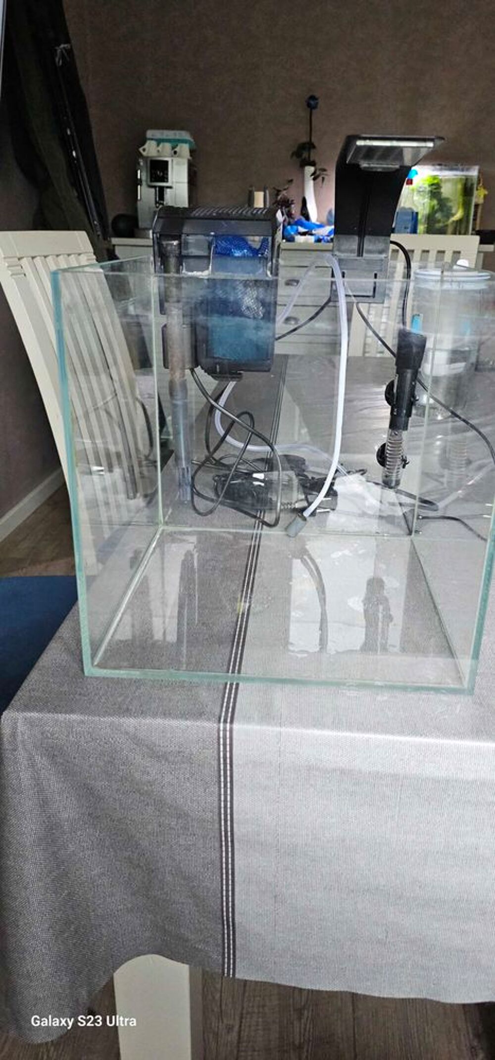 aquarium 30 litre complet Décoration