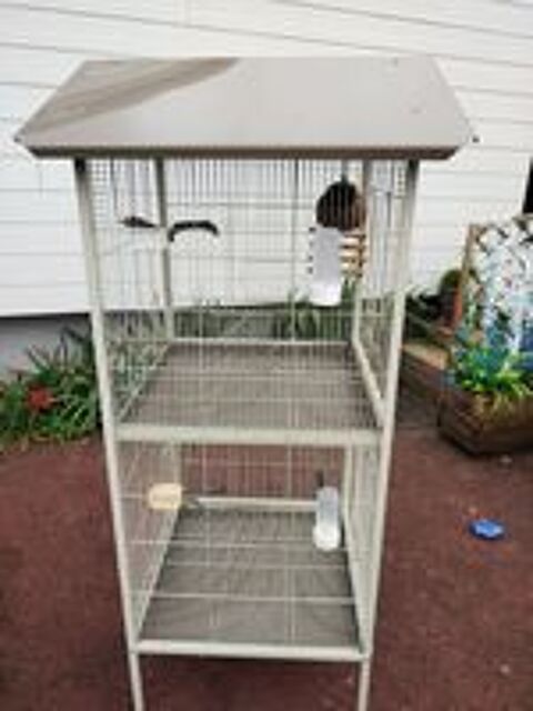   Grande cage oiseaux  