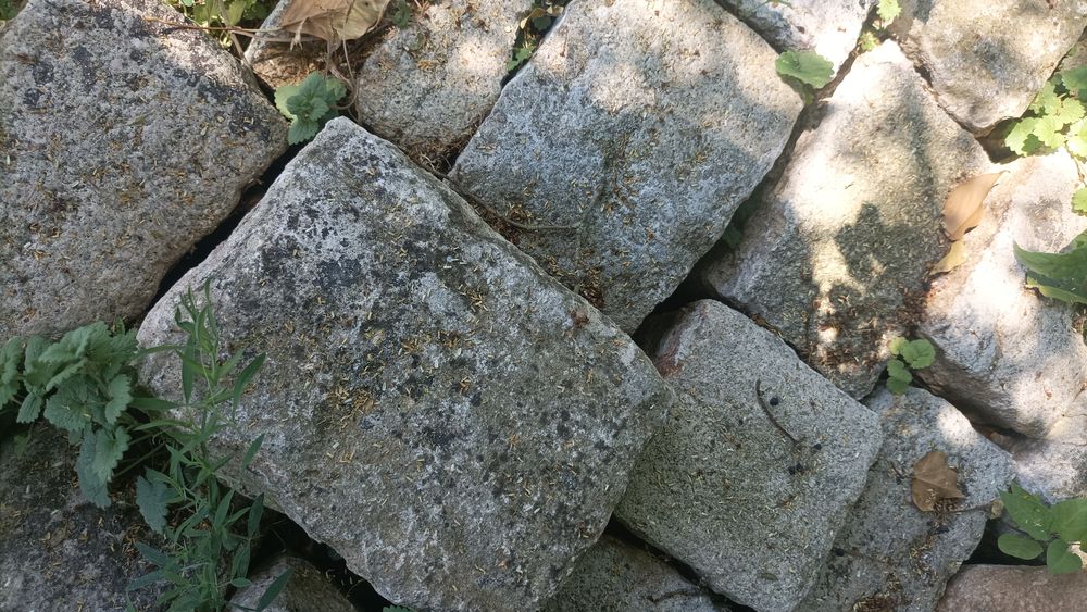 Pave pierre naturelle beige pleine masse sol jardin bricolag Jardin