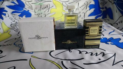 MINIATURE DE PARFUM 8 Trouy (18)