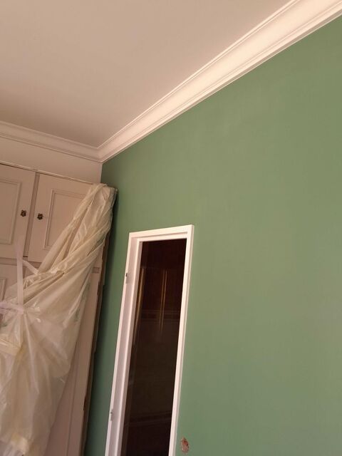 travaux de peinture 0 75020 Paris