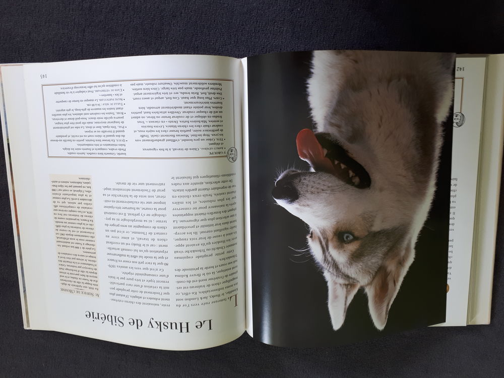 Les Chiens Livres et BD
