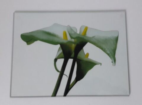 Plateau � fromage en verre 3 Metz (57)