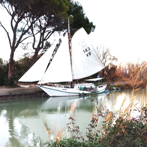 Voiliers Monocoque 1977 occasion Sall&egrave;les-d'Aude 11590