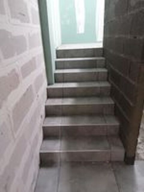   Carreleur professionnel  
