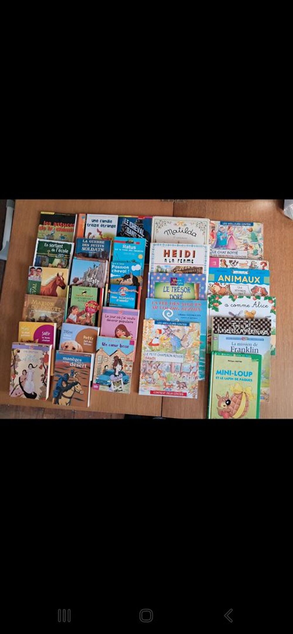 Gros lot de livres Livres et BD