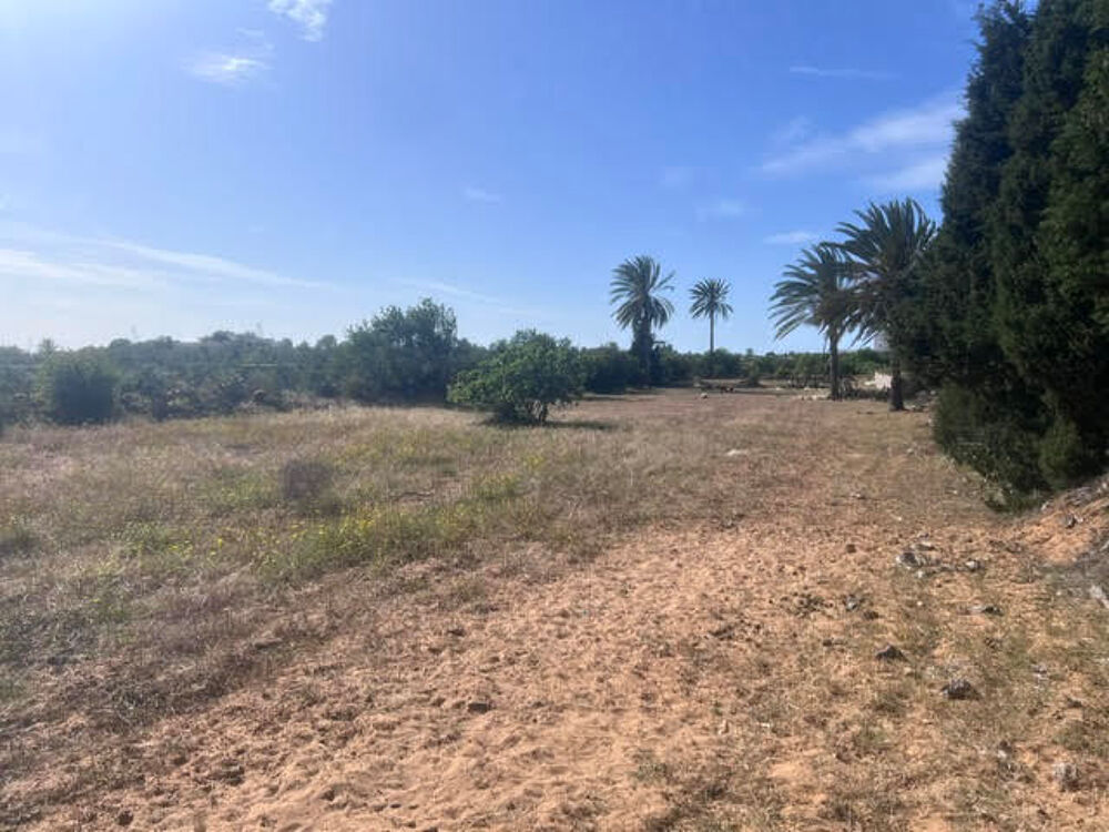 Vente Terrain Terrain constructible et viabilisé 2887m2 DIMES 5090 BEKALTA Dimes, bekalta, tunisie (Tunisie)