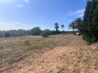  Terrain à vendre 2887 m² Dimes, bekalta, tunisie