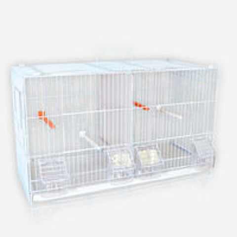   CAGE  