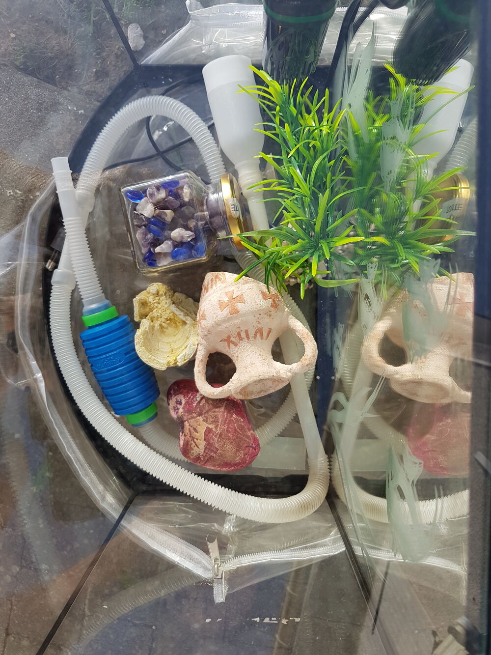   Aquarium équipé et accessoirisé 