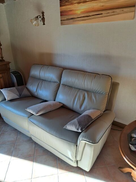 Canap cuir relax 480 Domsure (01)