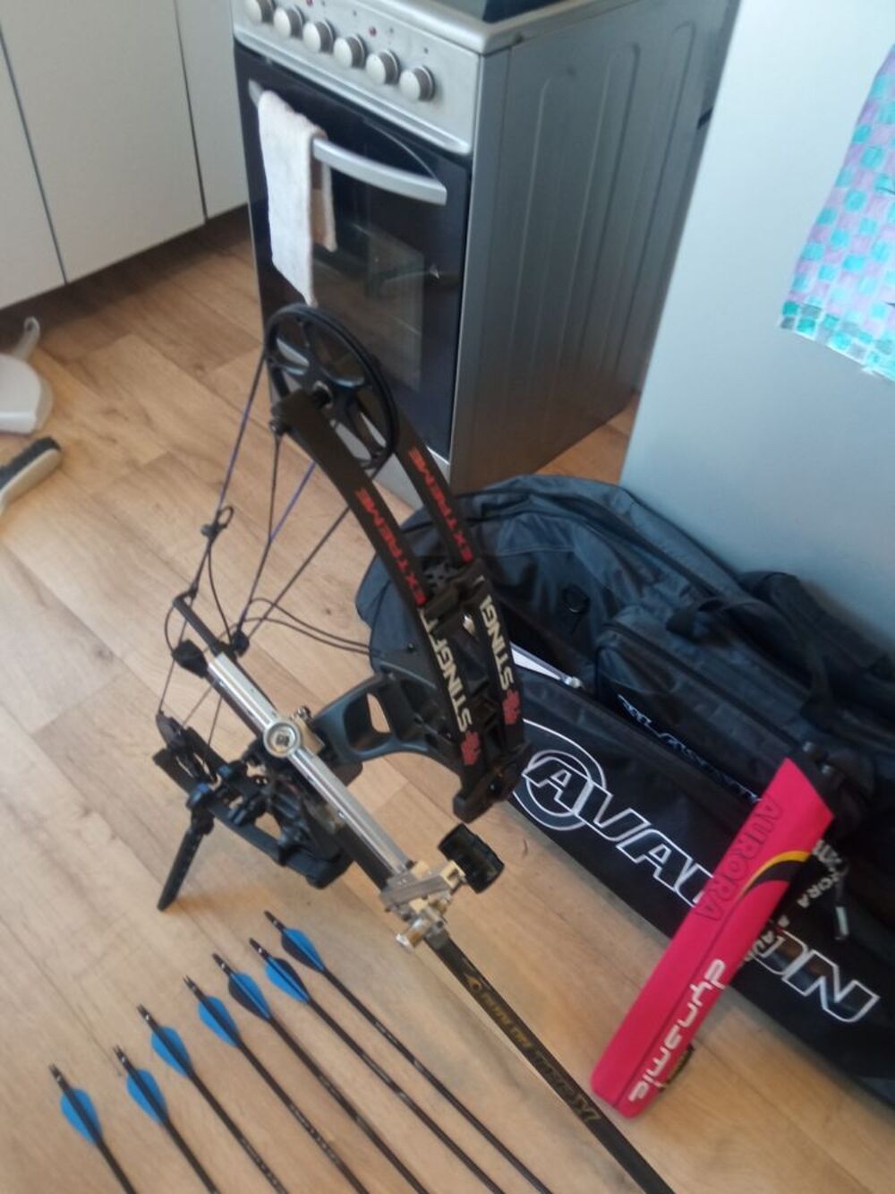Arc a poulies pse stinger extr&ecirc;me Sports