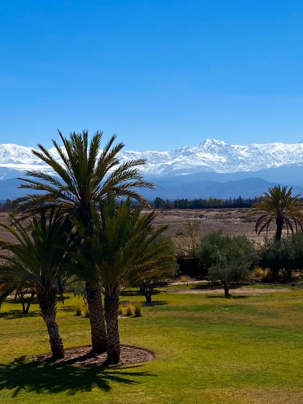   Villa luxe Marrakech Face à l'Atlas Maroc, Marrakech