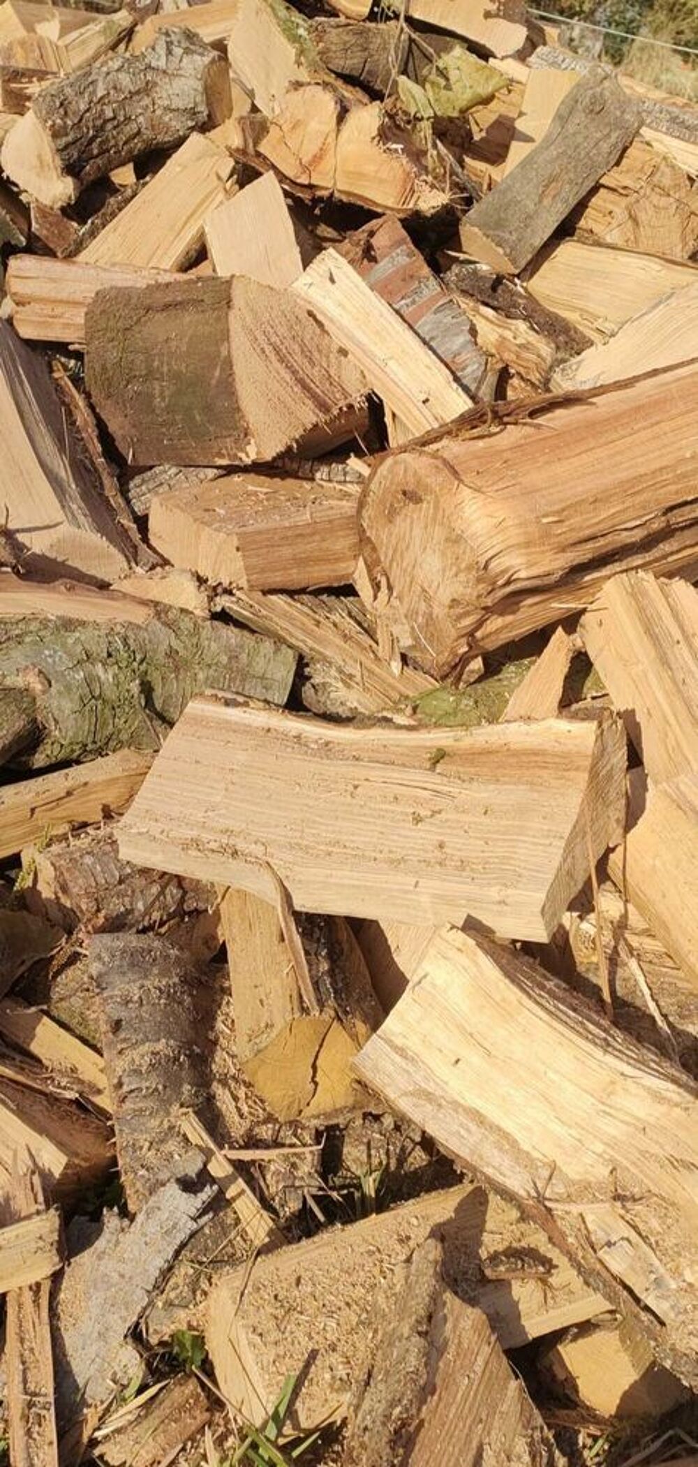 bois de chauffage Jardin