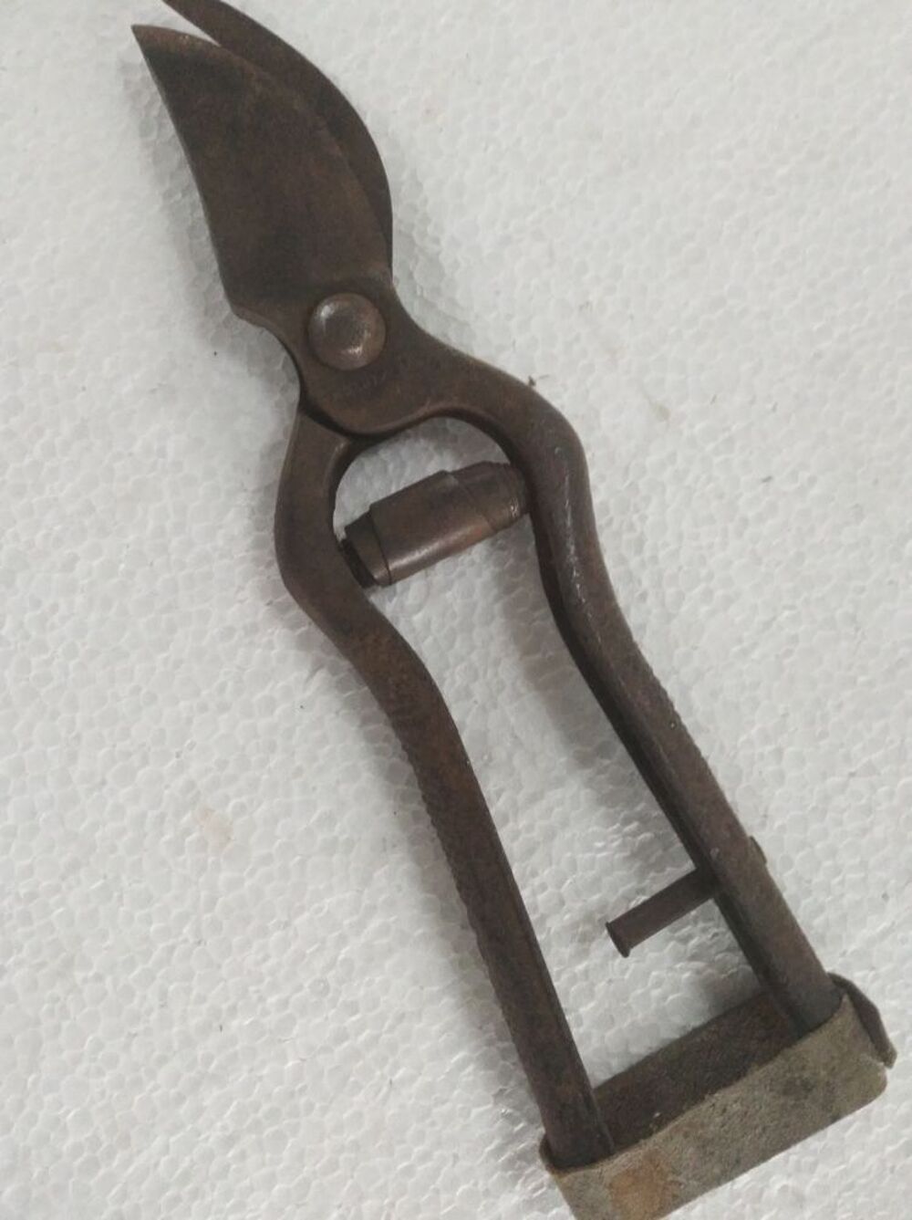 Cisaille pour taille Bricolage