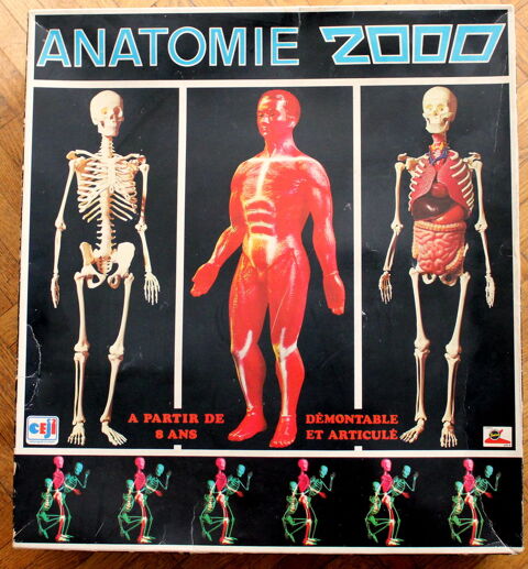 Anatomie 2000 - Coffret d'apprentissage ducatif - Cji 150 Issy-les-Moulineaux (92)