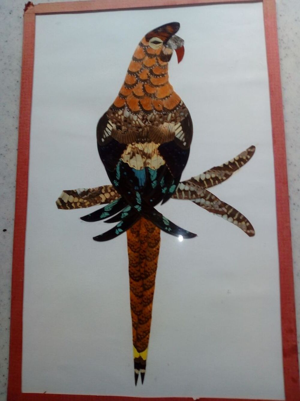  Composition perroquet, avec ailes de papillons Décoration