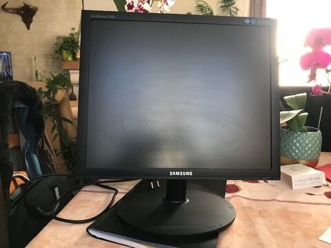 ECRAN SAMSUNG 19 pouces 25 Sallebœuf (33)
