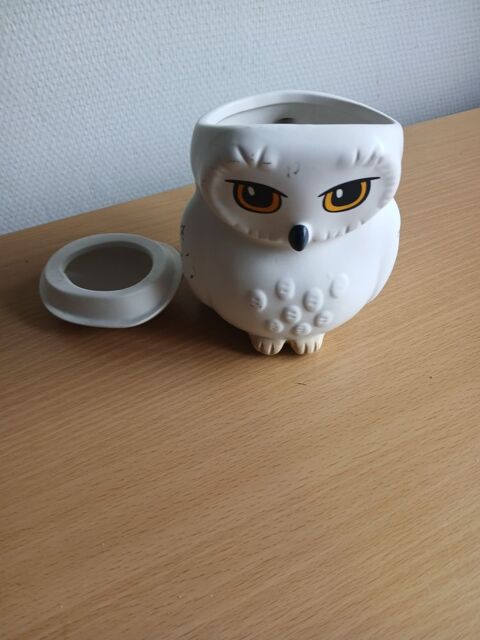 Mug hedwige 
20 Toucy (89)