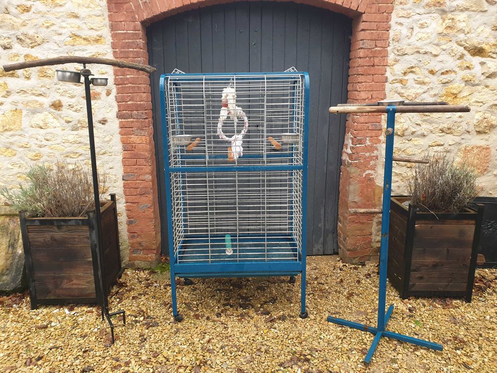 Perroquet CAGE Jardin