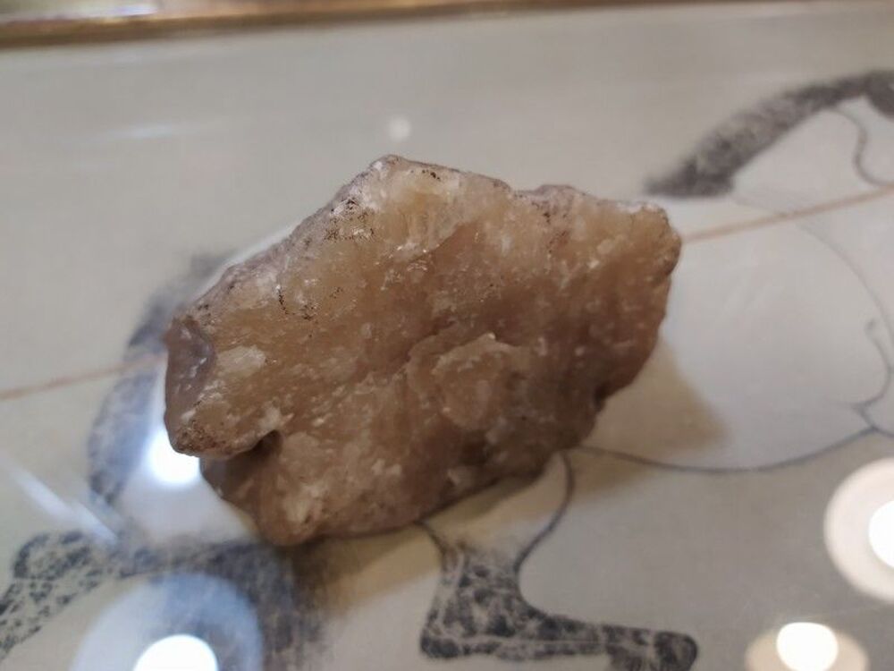 L&eacute;zard Souvenir des Grottes H&ocirc;tel Central Han sur Lesse XXe 