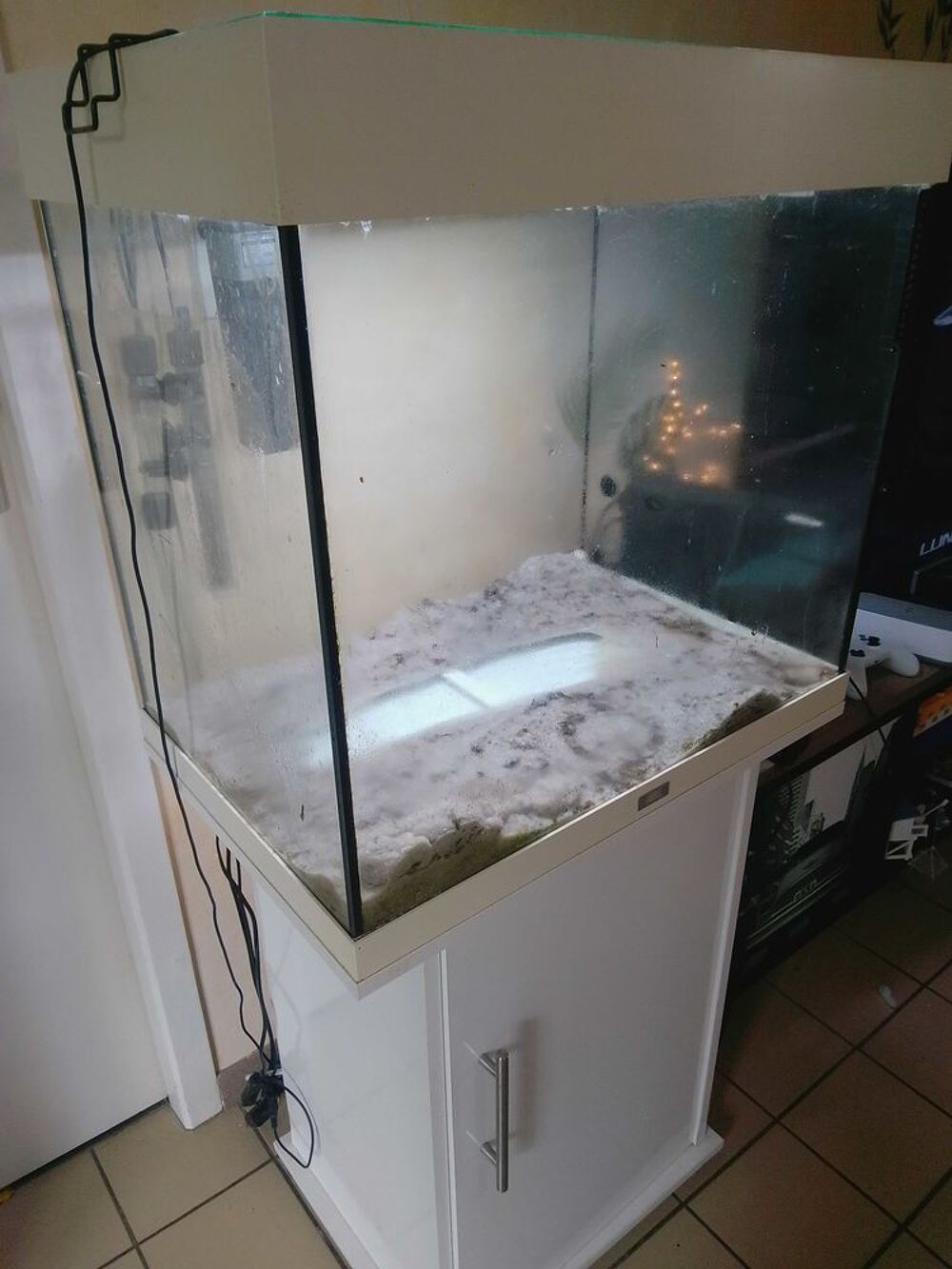 aquarium 100 l Décoration