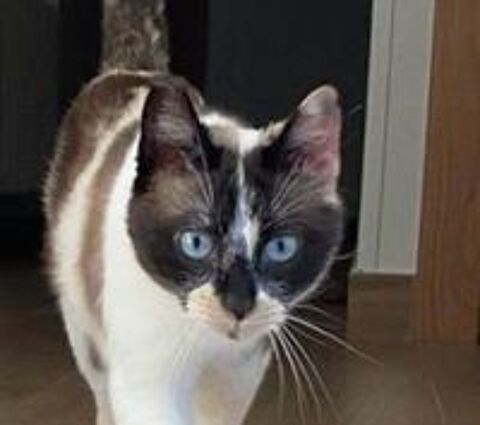   MULAN 