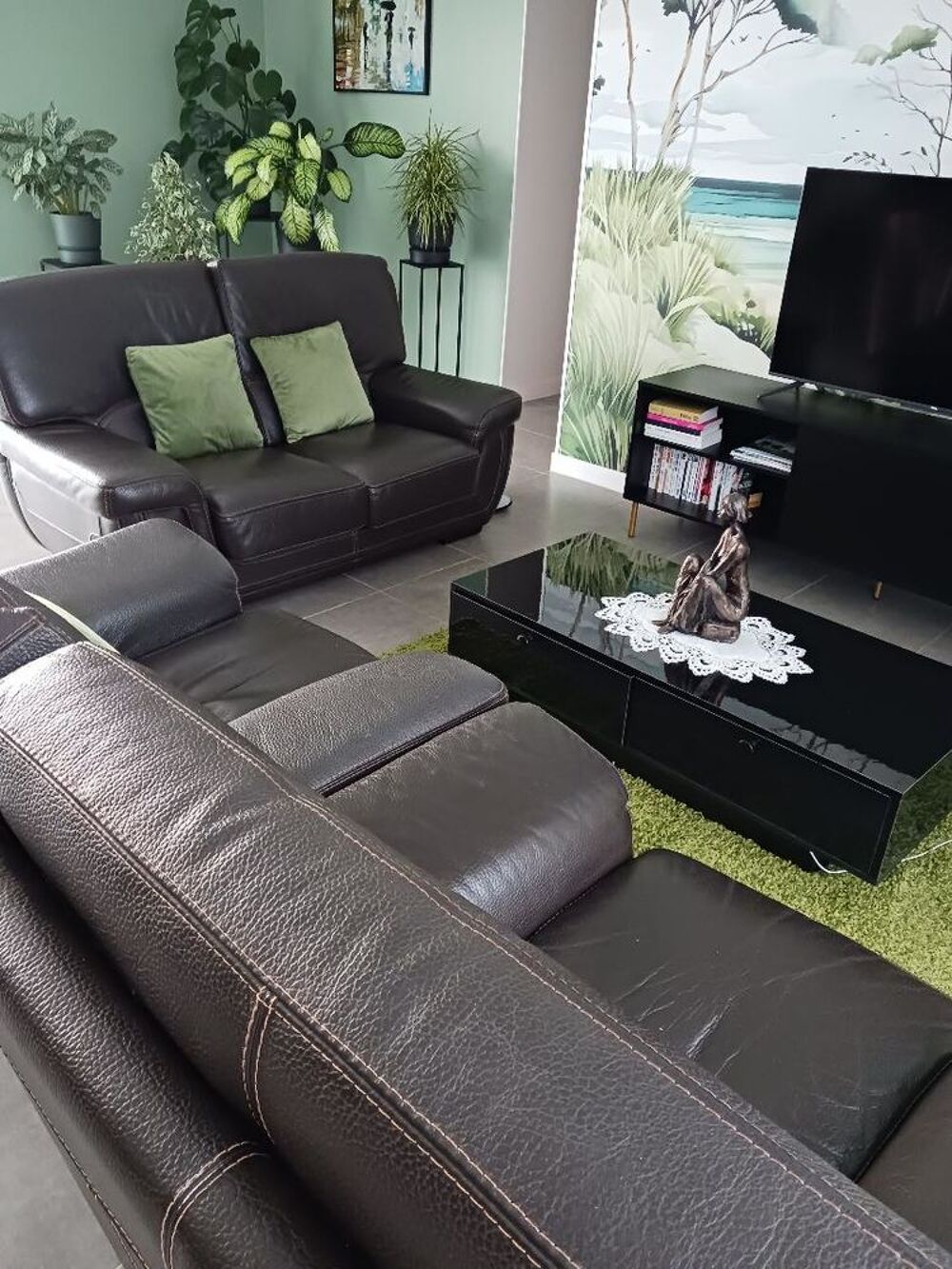 Salon cuir de buffle marron Meubles