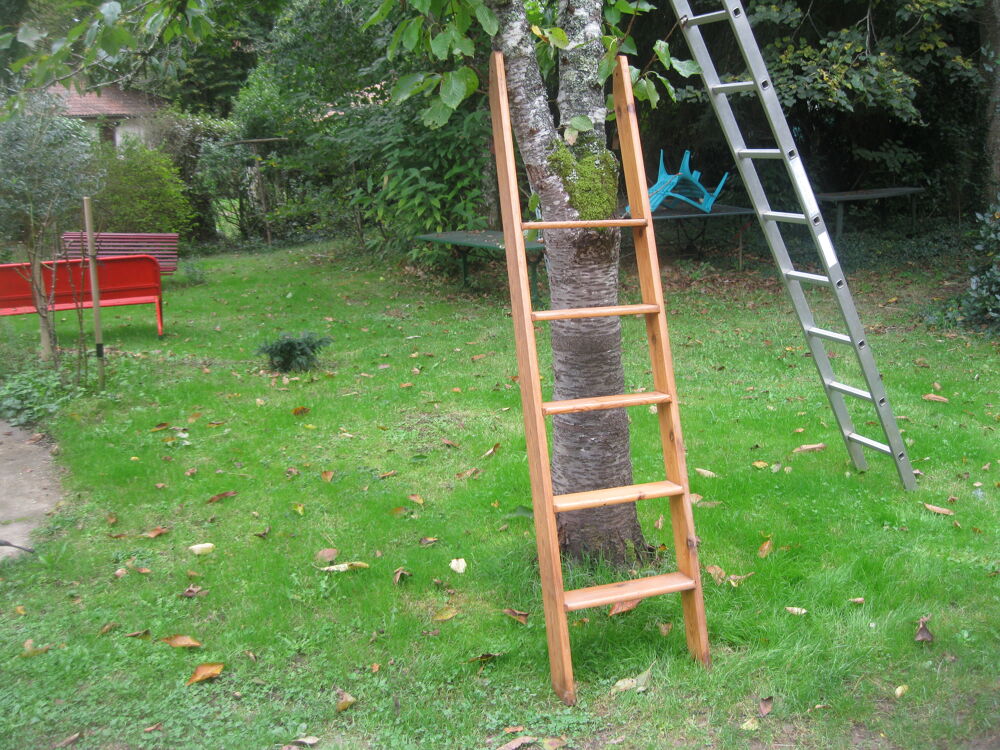 echelle pin massif Jardin