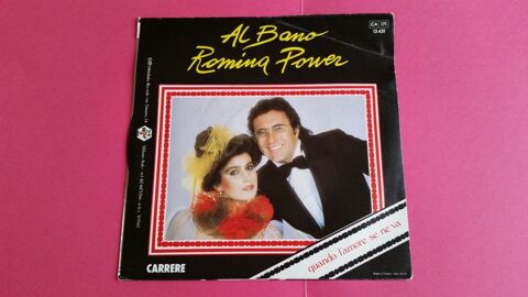 AL BANO ET ROMINA POWER 0 Toulouse (31)