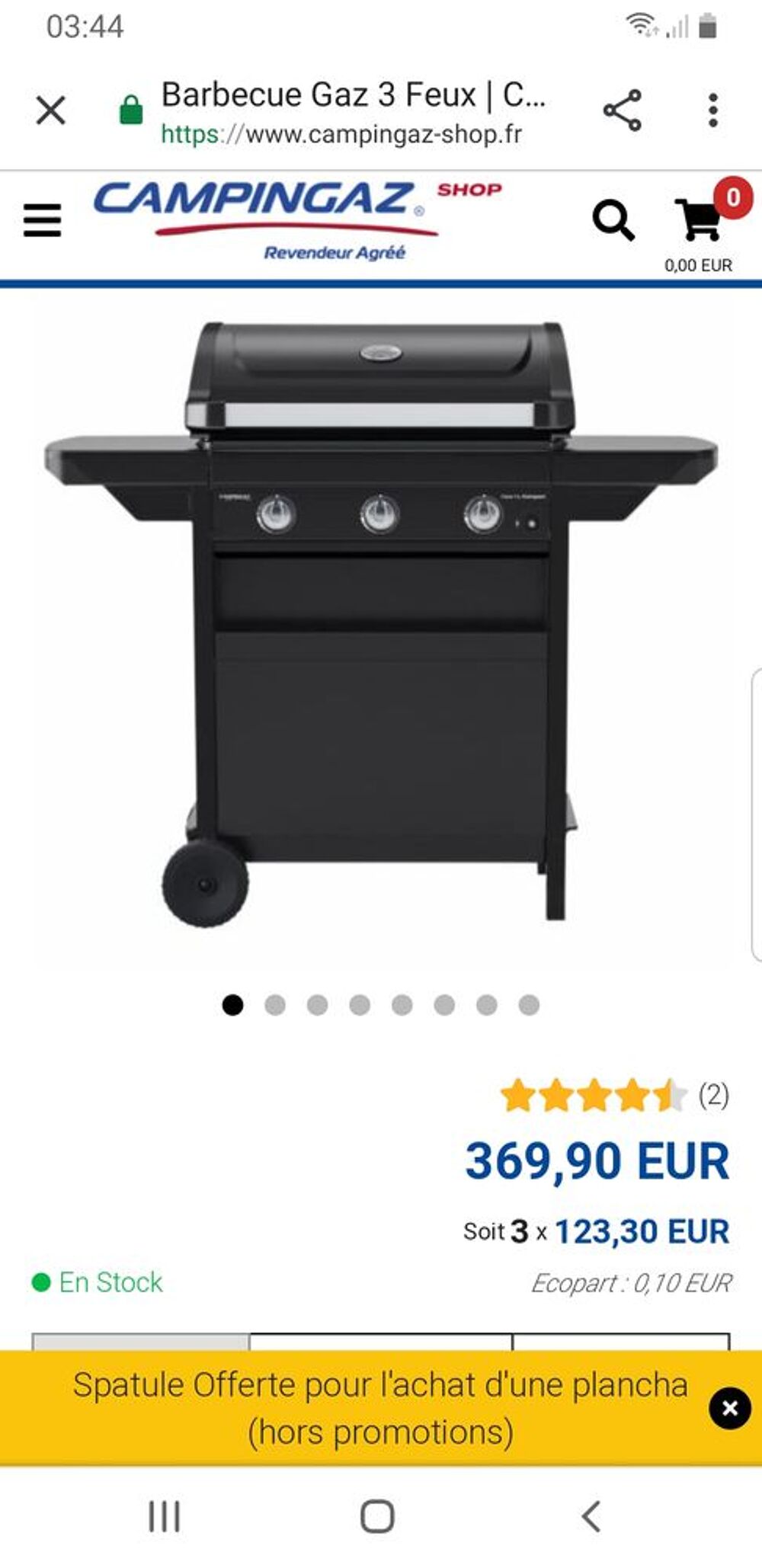 Barbecue plancha grille Jardin