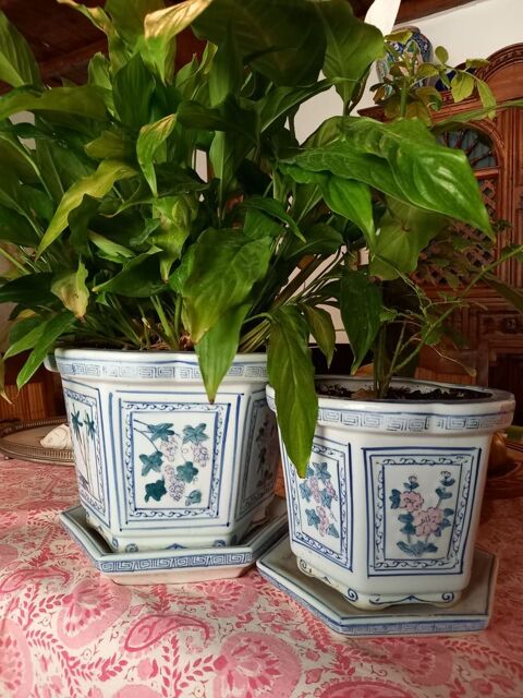 Pots chinois d'origine en céramique bleue
70 Cavaillon (84)
