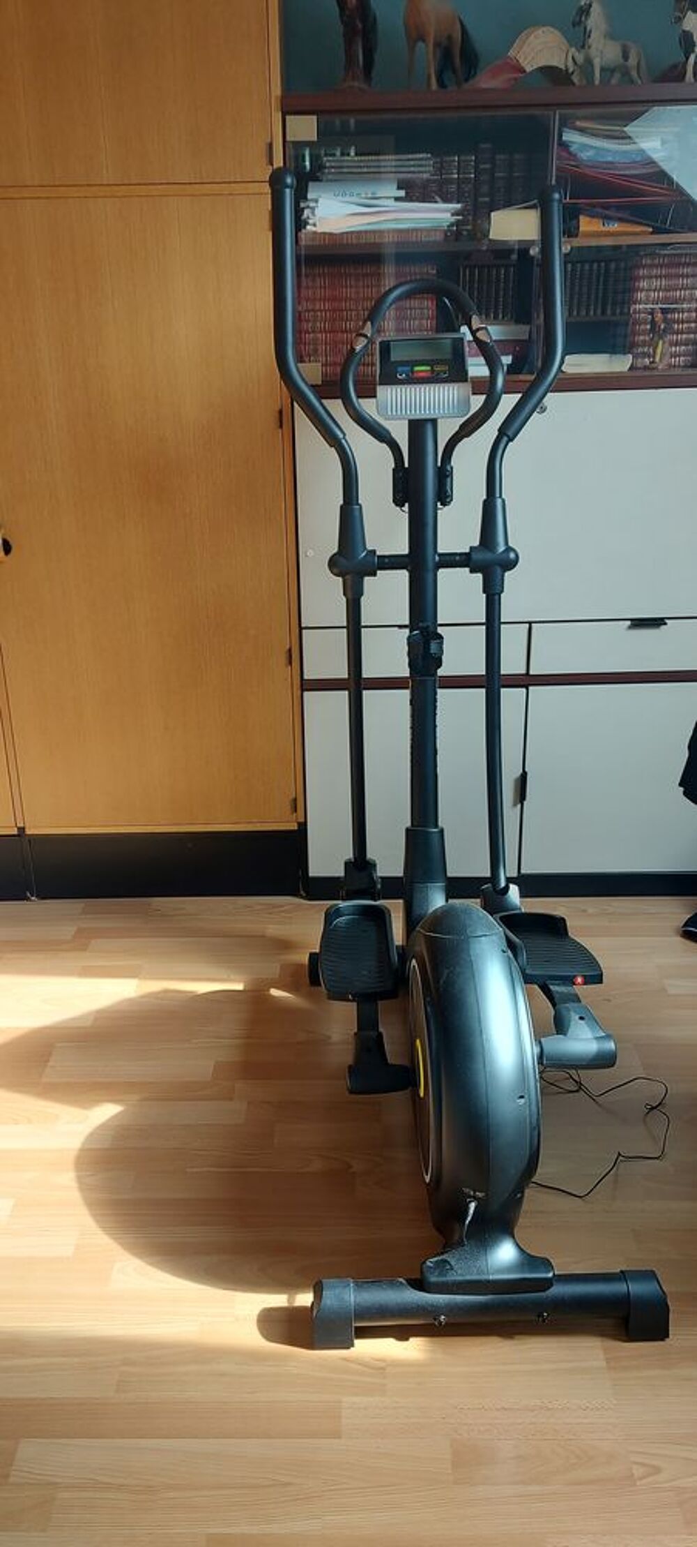 Velo Sports