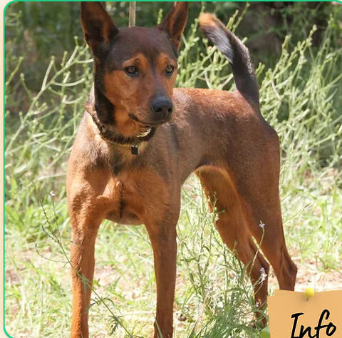 Maya 230 26700 Pierrelatte