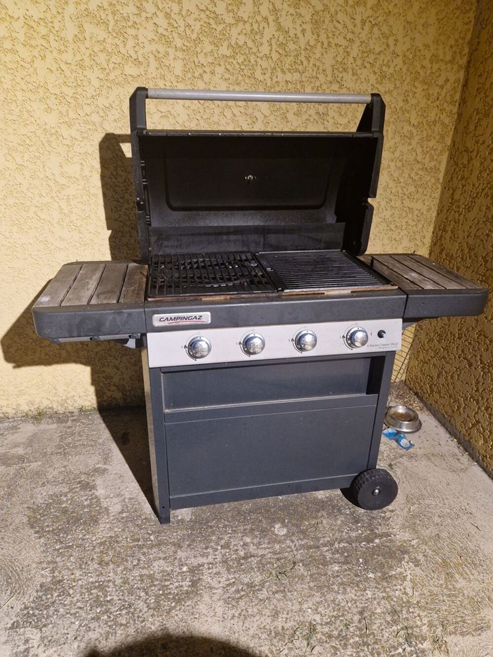 Barbecue au gaz Jardin