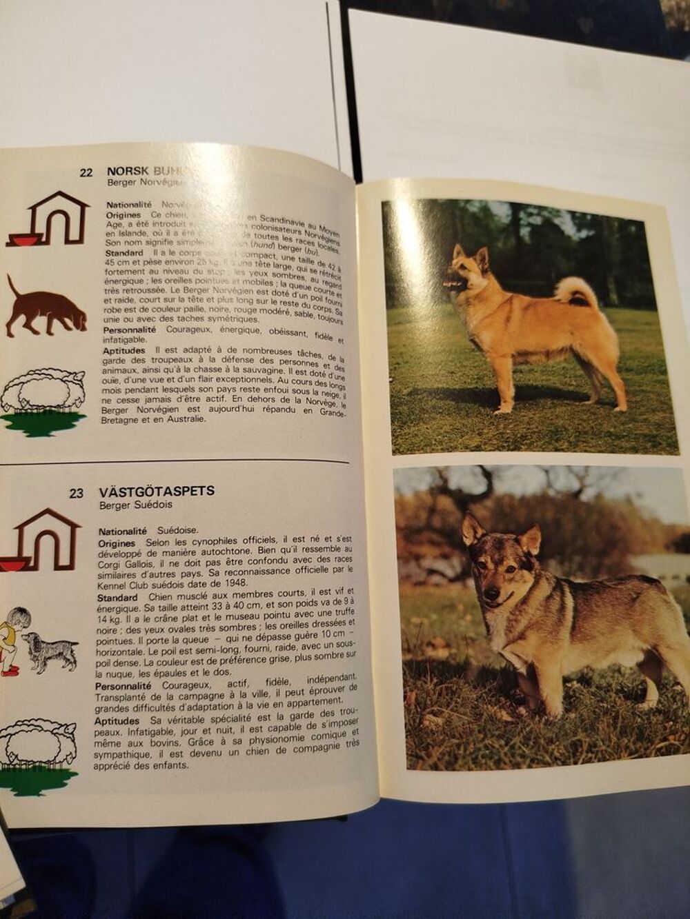 LES CHIENS Livres et BD