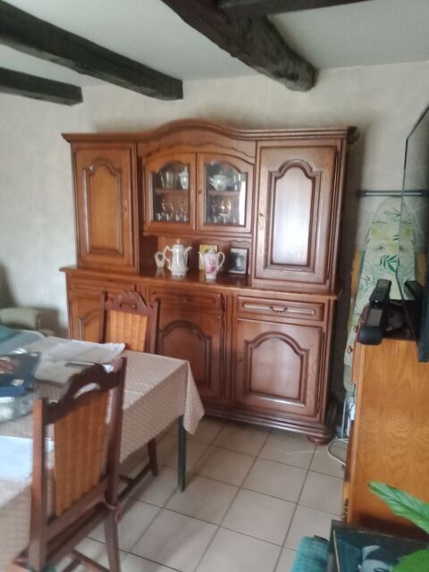  cause  demenagement 220 Nod-sur-Seine (21)